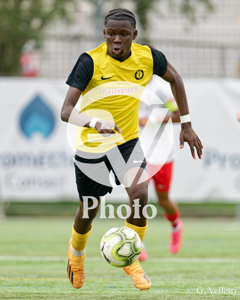 DSC_6771_M | Velletri Photo