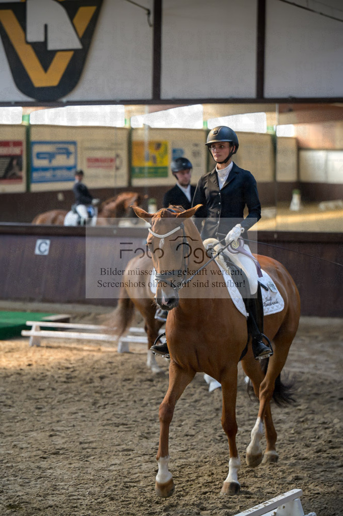 Reitturnier Voxtrup | Entdecke hochwertige Reitturnierfotos von Foto Oger. Professionell, emotional und authentisch – jetzt Lieblingsmomente im Shop bestellen.Deutschlandweite Turnierfotografie. - Realisiert mit Pictrs.com