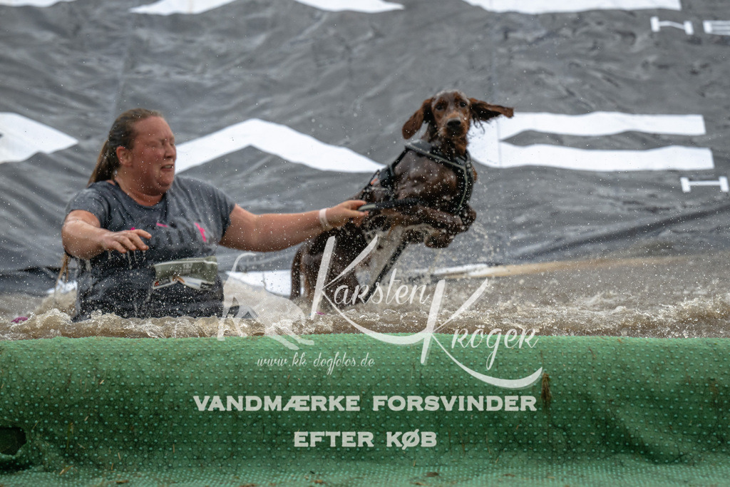 1618_ZZ90019 | kk-dogfotos