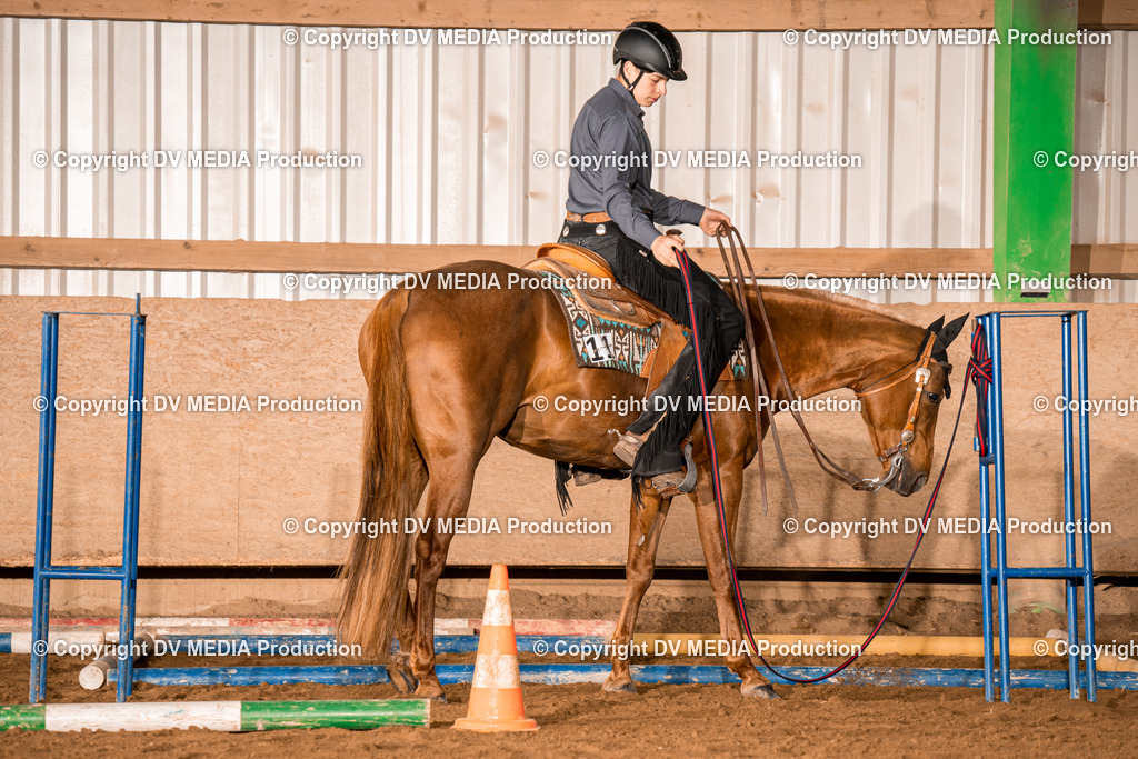 BA400017 | dv-media-shop - Realisiert mit Pictrs.com