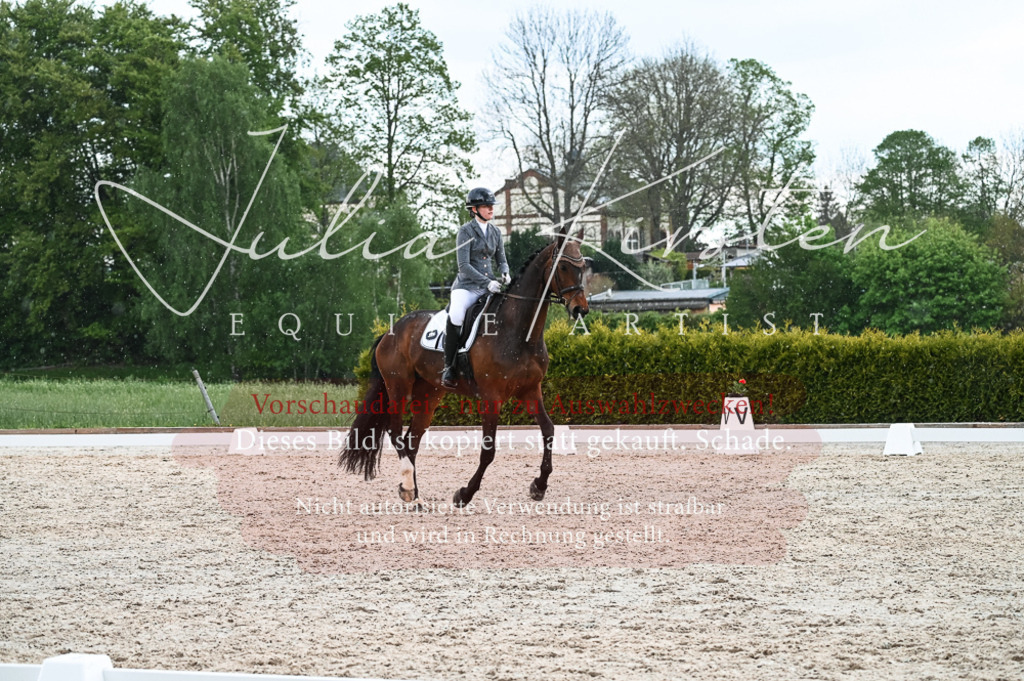 20230513_JK-Röhrsdorf-11-137 | Pferde- und Turnierfotografie in Westsachsen. Pferdeportraits, Auftragszeichnungen und intuitive Kunst.