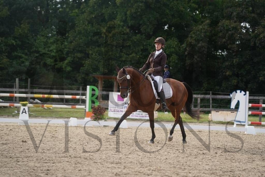 rveinoedsamstag (1904) | d.tail Visions - Shop - Realisiert mit Pictrs.com