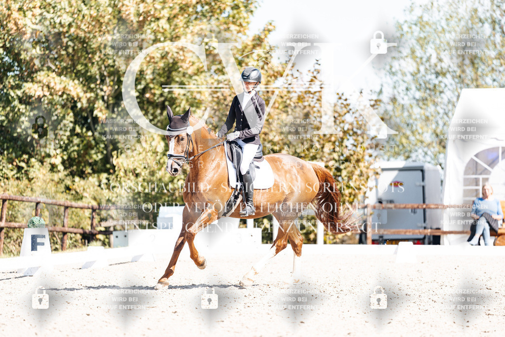 CK903947 | Turnierfotografie Pferdefotografie Trier Rheinland-Pfalz Pferdesport Reitsport Tierfotografie Sportfotografie Pferdevideo Pferdevideografie Equestrianvideography equestrianphotography  - Realisiert mit Pictrs.com
