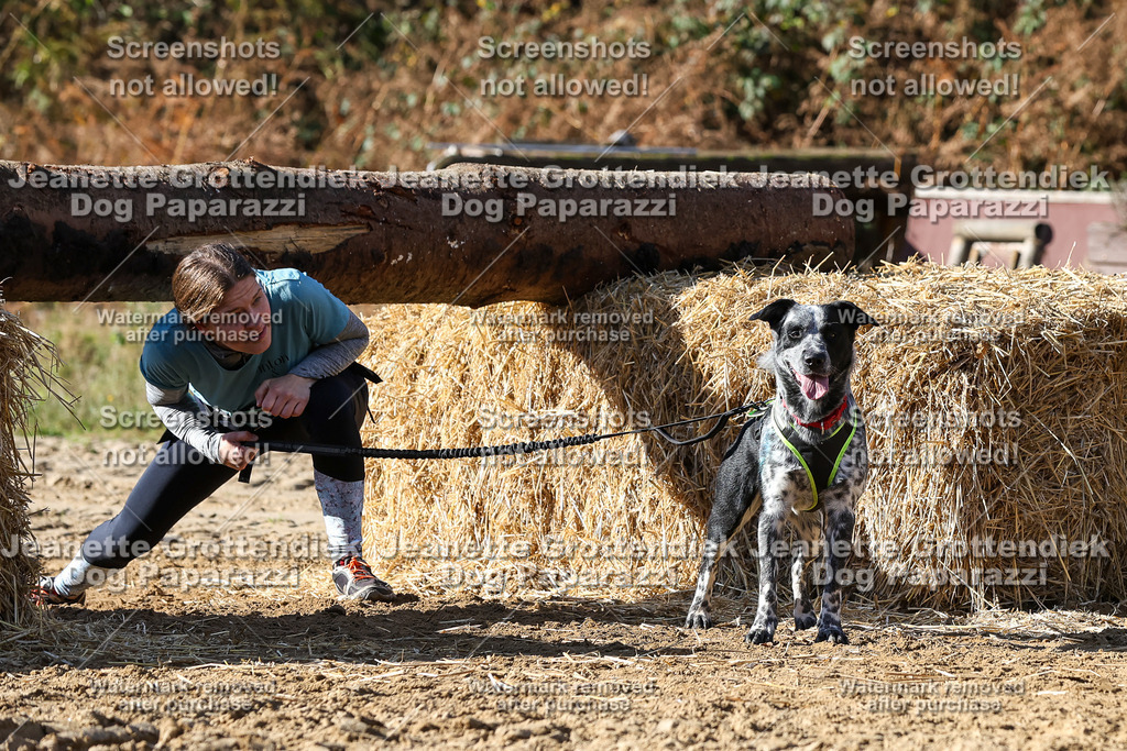 Dog Paparazzi - Strongdog 10-25-4720 | Dog Paparazzi Jeanette Grottendiek Fotografie & Videografie - Realisiert mit Pictrs.com