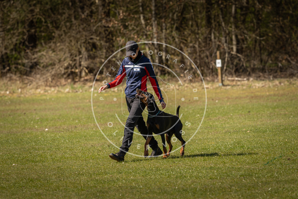 Pfotenfotografie_DV3A0801 | Hundefotografie, Tierfotograf, Pfotenfotografie, Fotoshooting Hund, Hunde Portrait, Hundesport, Hundeportraits, Heideshooting, Hunde, Sportfotograf, Hundefotograf, Turnierhundsport, THS,  - Realisiert mit Pictrs.com