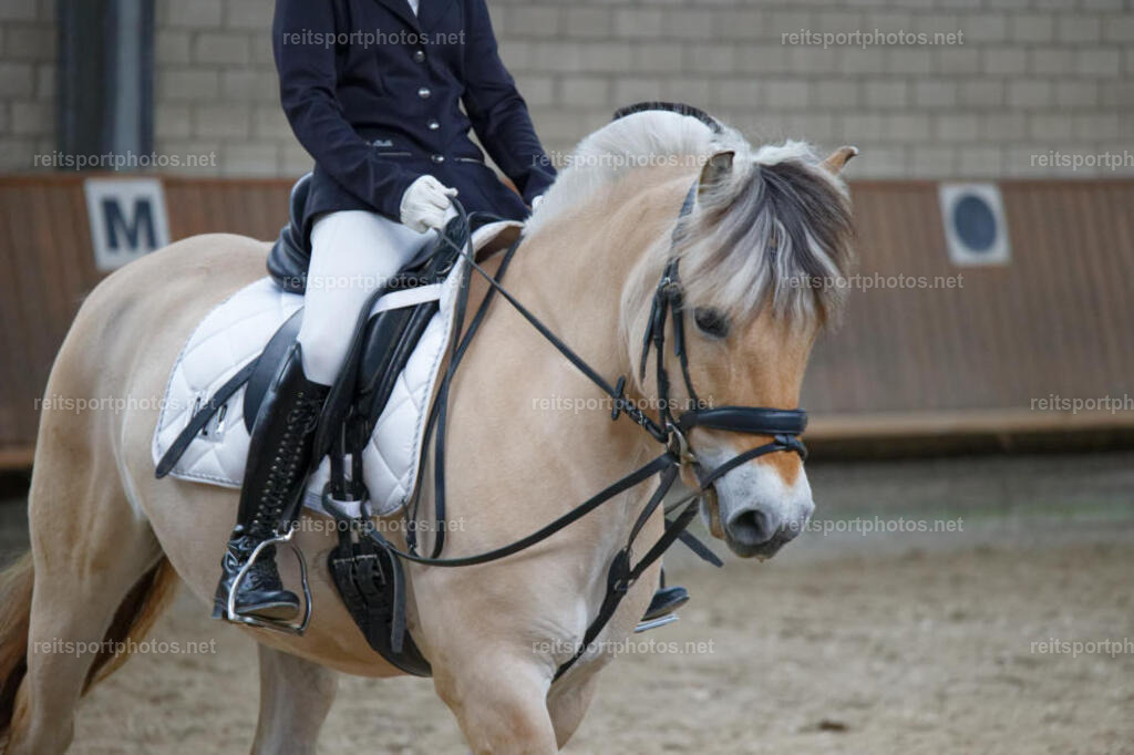 JHE_5326 | JoYa Fotografie - Realisiert mit Pictrs.com
