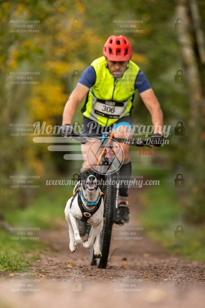 TSB_2023_E4_Bike-8 | PayLife