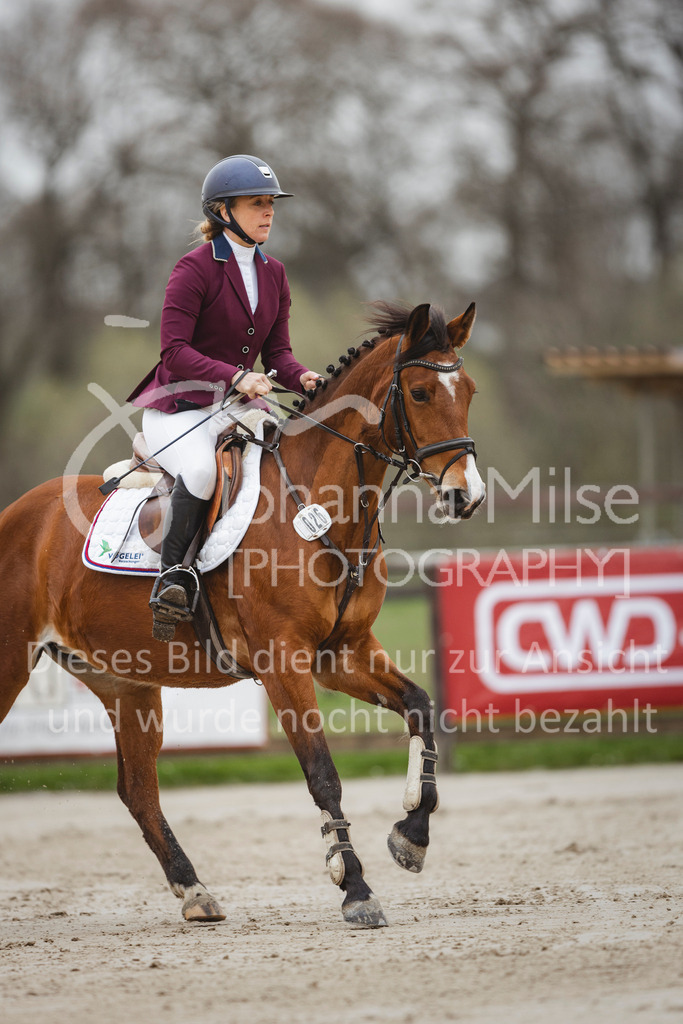 240330_Fruehlingsfest_Stil-A2-2-709 | Deine schönsten Turniermomente als professionelle Fotos! Entdecke hochwertige Pferdesport-Fotografie im Online-Shop. Jetzt Fotos finden & bestellen!