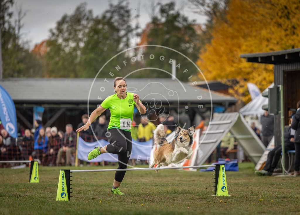 Pfotenfotografie_DV3A6809 | Hundefotografie, Tierfotograf, Pfotenfotografie, Fotoshooting Hund, Hunde Portrait, Hundesport, Hundeportraits, Heideshooting, Hunde, Sportfotograf, Hundefotograf, Turnierhundsport, THS,  - Realisiert mit Pictrs.com