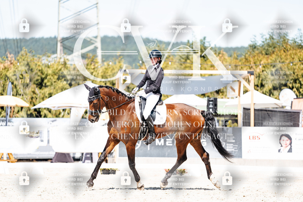 CK909845 | Turnierfotografie Pferdefotografie Trier Rheinland-Pfalz Pferdesport Reitsport Tierfotografie Sportfotografie Pferdevideo Pferdevideografie Equestrianvideography equestrianphotography  - Realisiert mit Pictrs.com