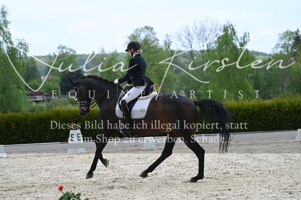 20230512_JK-Röhrsdorf-05-042 | Pferde- und Turnierfotografie in Westsachsen. Pferdeportraits, Auftragszeichnungen und intuitive Kunst.
