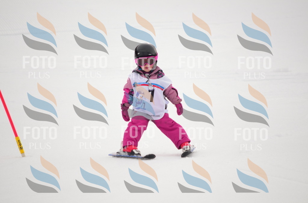 B9010 | holidayphoto