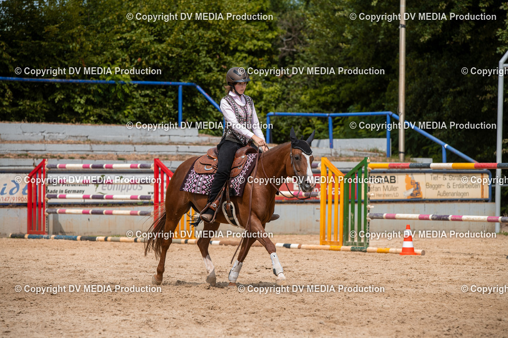 EWP_6072 | dv-media-shop - Realisiert mit Pictrs.com