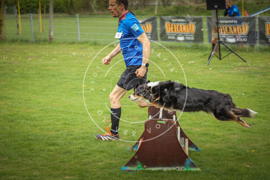Pfotenfotografie_0L8A9721 | Hundefotografie, Tierfotograf, Pfotenfotografie, Fotoshooting Hund, Hunde Portrait, Hundesport, Hundeportraits, Heideshooting, Hunde, Sportfotograf, Hundefotograf, Turnierhundsport, THS,  - Realisiert mit Pictrs.com