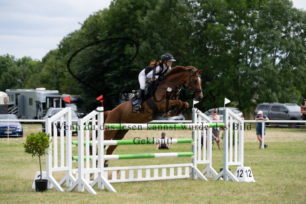 A7V02244 | Pferdefotograf