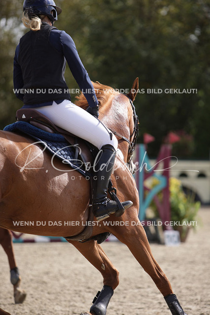 1J2A3337Christin Schulz_ Carsta AS_ Kn124_ Havekost | Foto- und Videografie für alles rund ums Pferd. Hochwertige Bilder und Videos vom Spring- und Dressurreiten, Voltigieren & mehr. Jetzt aktuelle Veranstaltungen und Preise im Shop ansehen. - Realisiert mit Pictrs.com
