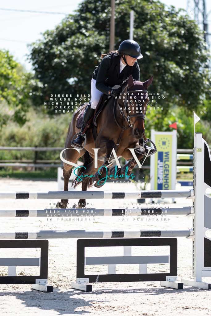 IMG_9949 | s-jay-photography - Realized with Pictrs.com