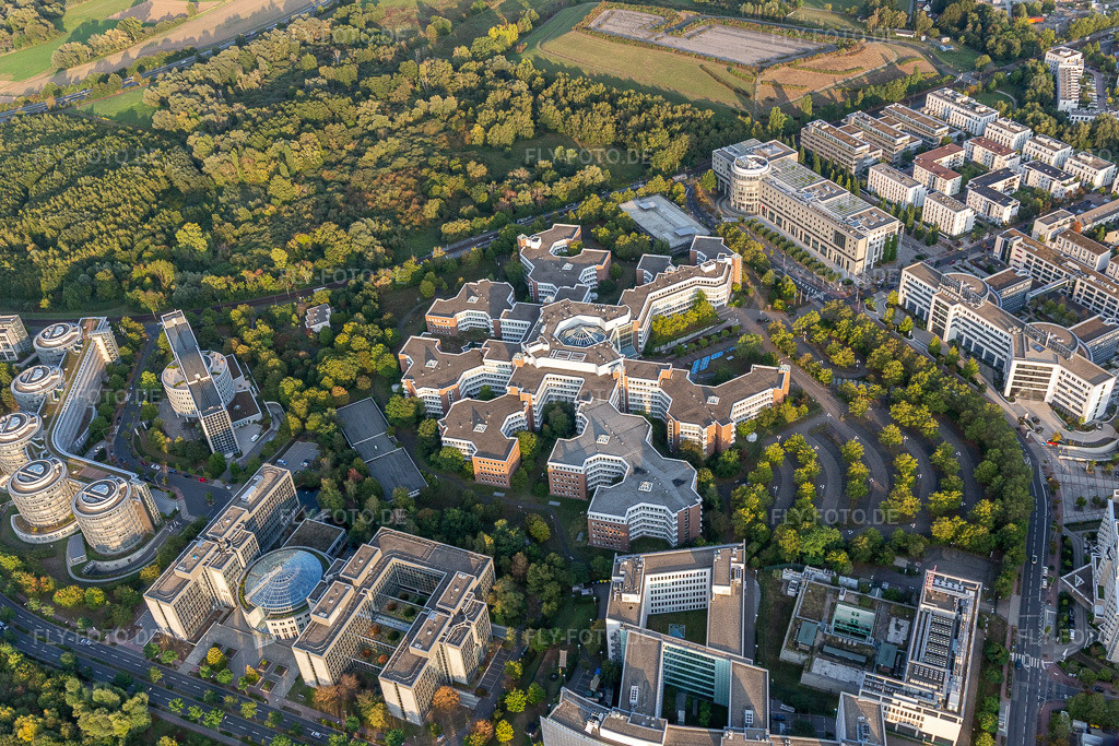 Luftbild: Lurgi House im Ortsteil Niederursel in Frankfurt im Bundesland Hessen in Deutschland. Foto: IMG_117716.jpg vom 10.09.2019 durch Werner Riehm/FLY-FOTO.de