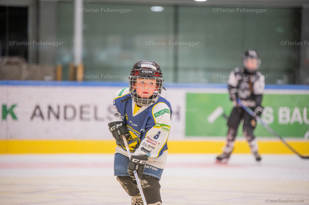 DSC_1509 | "Fussifoto.com – Ihr Ansprechpartner für hochwertige Fotografie! Entdecken Sie kreative Bilder und professionelle Dienstleistungen. Kontaktieren Sie uns für Ihre Projekte!"