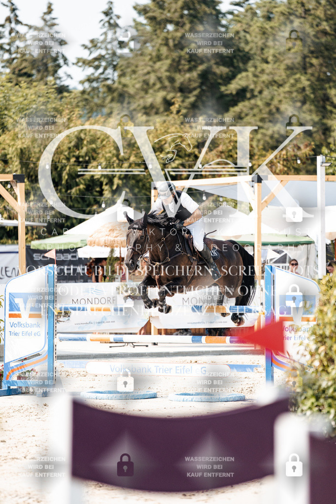 CK901711 | Turnierfotografie Pferdefotografie Trier Rheinland-Pfalz Pferdesport Reitsport Tierfotografie Sportfotografie Pferdevideo Pferdevideografie Equestrianvideography equestrianphotography  - Realisiert mit Pictrs.com