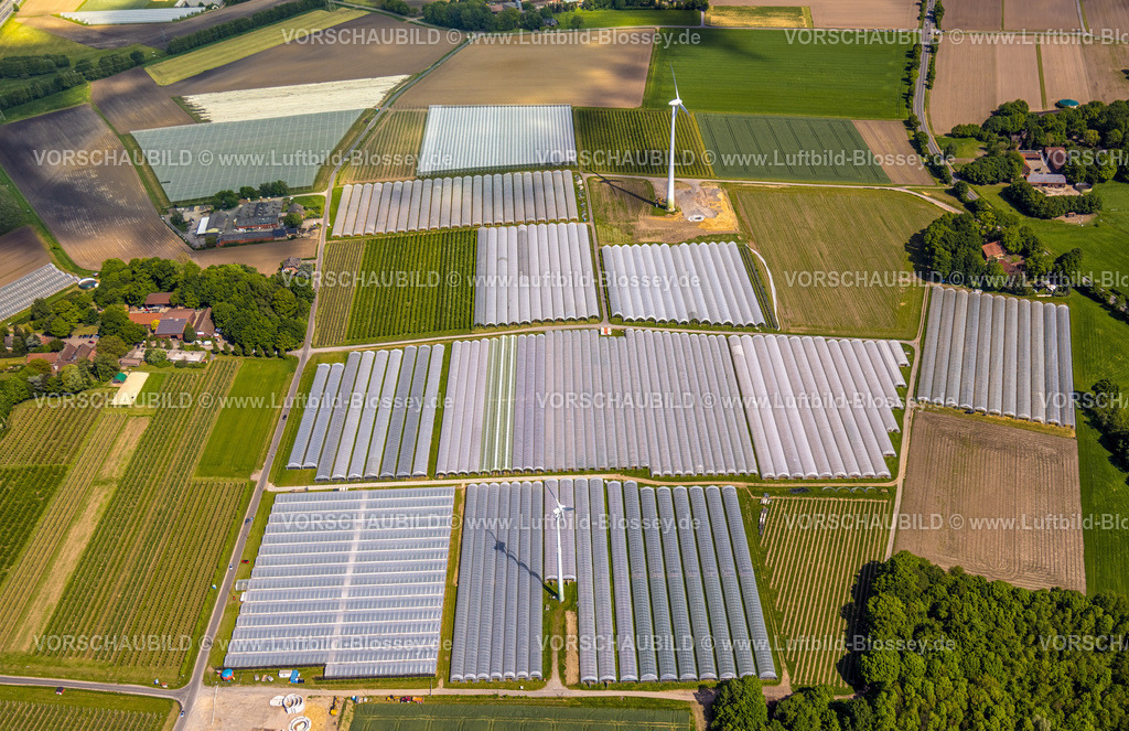 Bottrop230510053Kirchhellen | Luftbild, Erdbeerfelder mit Schutzfolie, Kirchhellen-Nord-Ost, Bottrop, Ruhrgebiet, Nordrhein-Westfalen, Deutschland