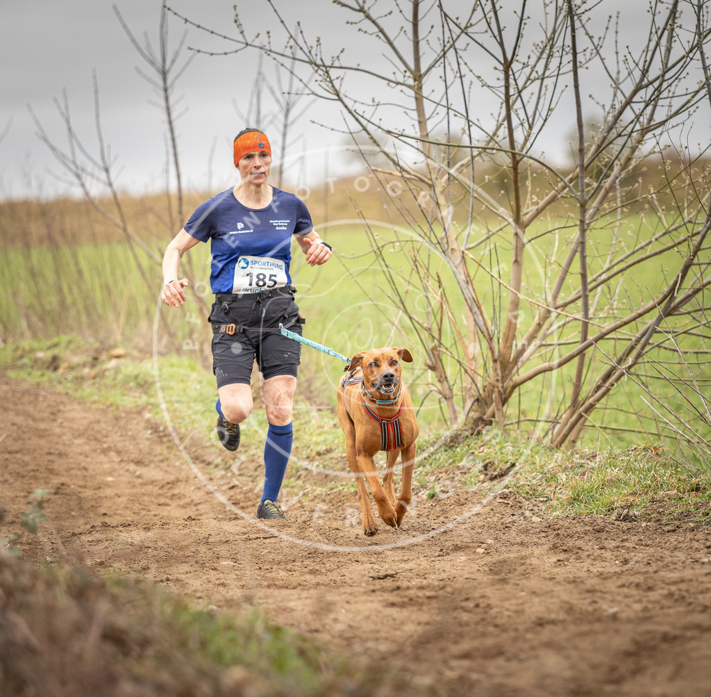 DV3A2145 | Hundefotografie, Tierfotograf, Pfotenfotografie, Fotoshooting Hund, Hunde Portrait, Hundesport, Hundeportraits, Heideshooting, Hunde, Sportfotograf, Hundefotograf, Turnierhundsport, THS,  - Realisiert mit Pictrs.com