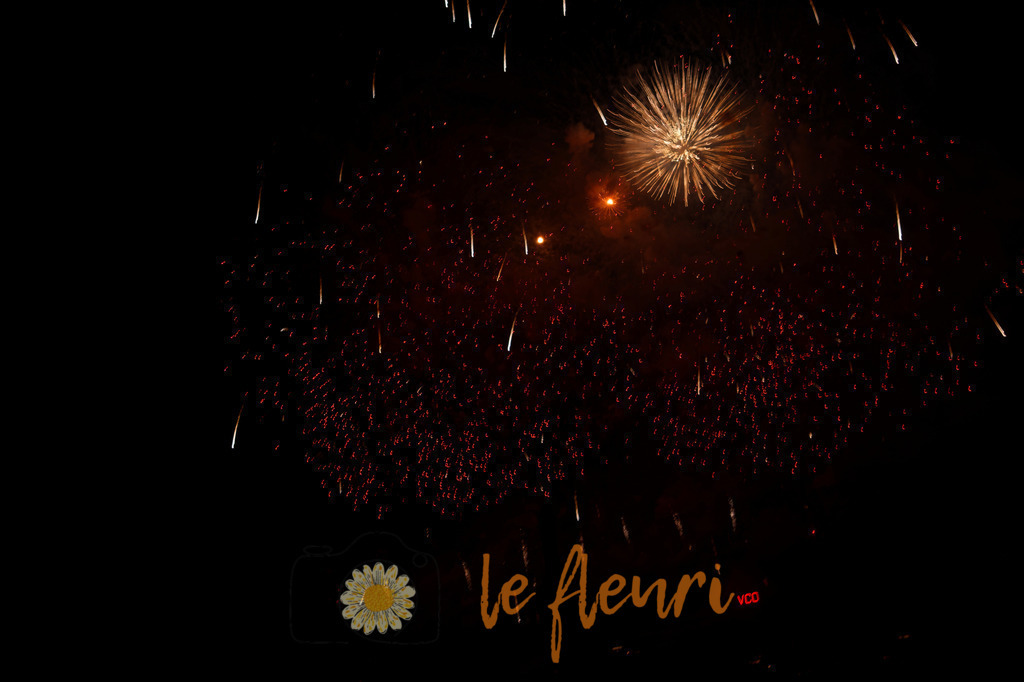 Vogelherdclub | Dies ist der Shop von Florian Blum - le fleuri. Langenthal, Bern, Schweiz. Sie können hier meine oder ihre eigenen Fotos als Fotoprodukte kaufen. Tassen, Schlüsselanhänger, Taschen etc. können Sie hier gestalten.  - Realisiert mit Pictrs.com