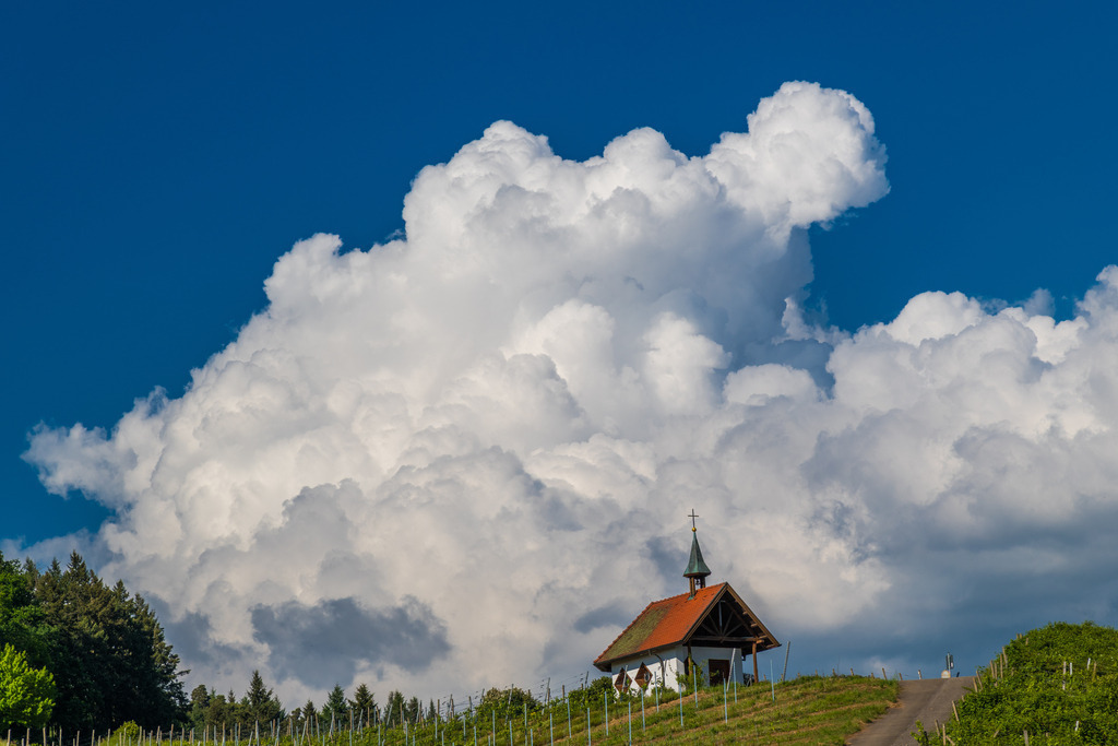 himmelsonah_090526-72 | <div id="allefotografen-seal-verified-green"></div><script src="https://www.allefotografen.de/956728/seal-verified-green/seal.js" async="async"></script> - Realisiert mit Pictrs.com
