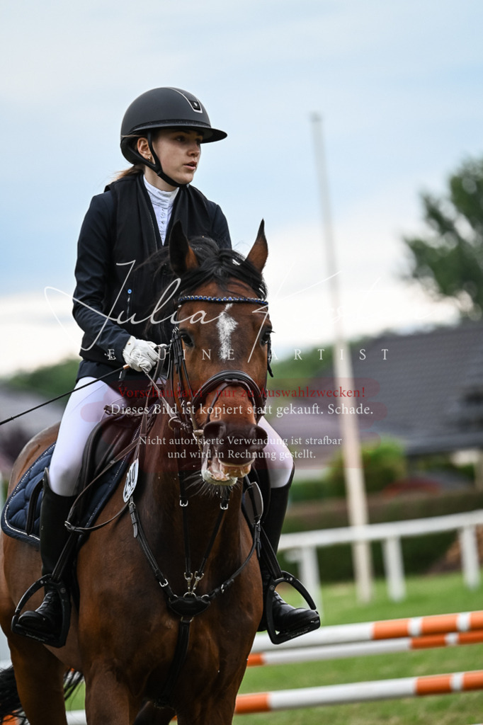 DSC_8472 | Pferde- und Turnierfotografie in Westsachsen. Pferdeportraits, Auftragszeichnungen und intuitive Kunst.