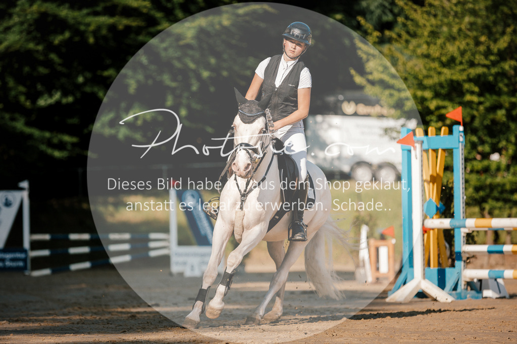 3I6A6253 | Stimmungsvolle Portraits und Reitsportfotografie im Ruhrgebiet und im Münsterland.

Pferdefotografie, Hundefotografie, Tierfotografie, Reportagen, Portraits von Tier und Mensch, Turnierfotografie in Bochum, Recklinghausen, Marl, Haltern am See, Dülmen.. - Realisiert mit Pictrs.com
