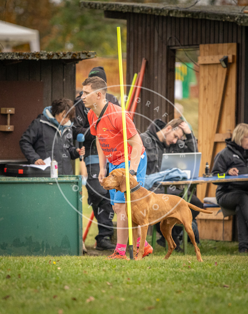 Pfotenfotografie_DV3A7545 | Hundefotografie, Tierfotograf, Pfotenfotografie, Fotoshooting Hund, Hunde Portrait, Hundesport, Hundeportraits, Heideshooting, Hunde, Sportfotograf, Hundefotograf, Turnierhundsport, THS,  - Realisiert mit Pictrs.com
