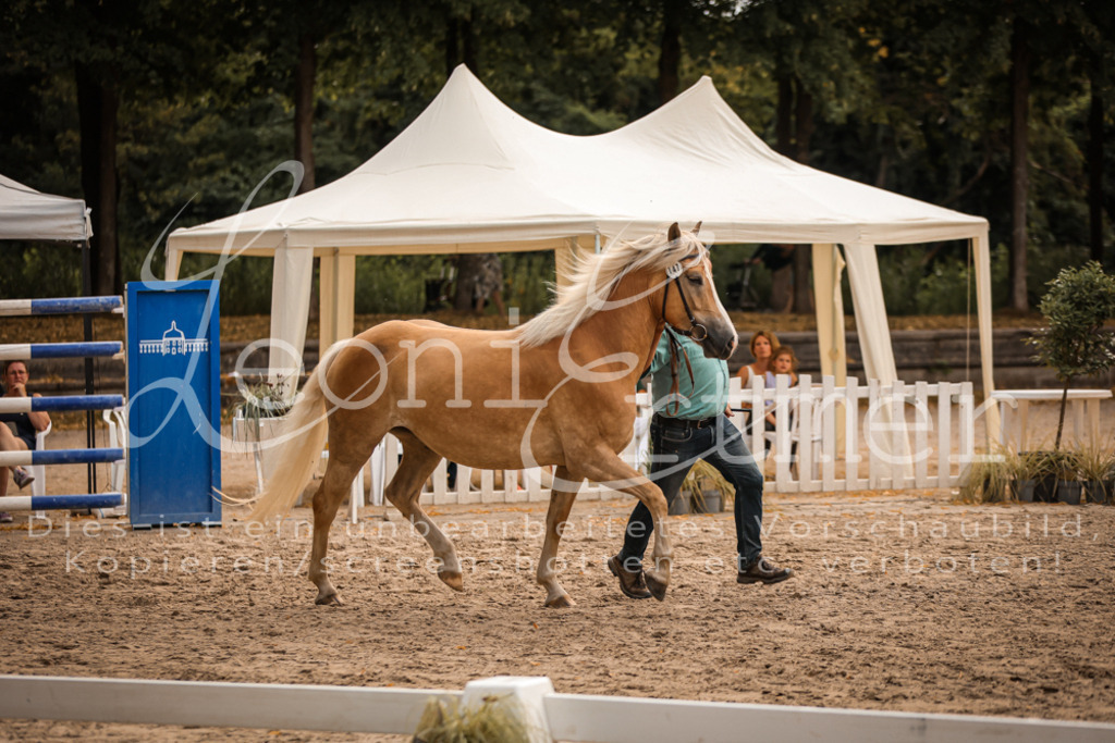 06.So00094 | Leoni Ertmer Photography - Realisiert mit Pictrs.com