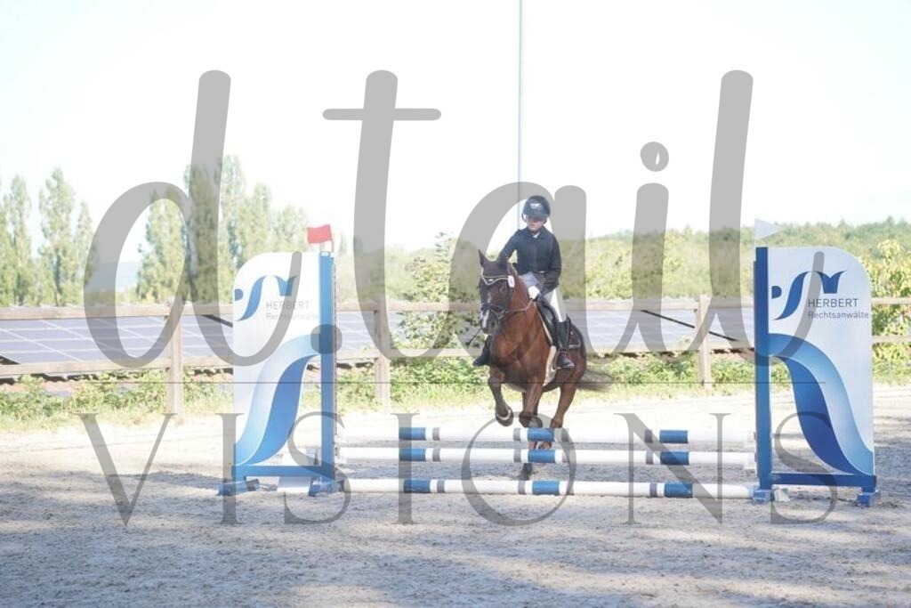 tgbhsonntag (112) | d.tail Visions - Shop - Realisiert mit Pictrs.com