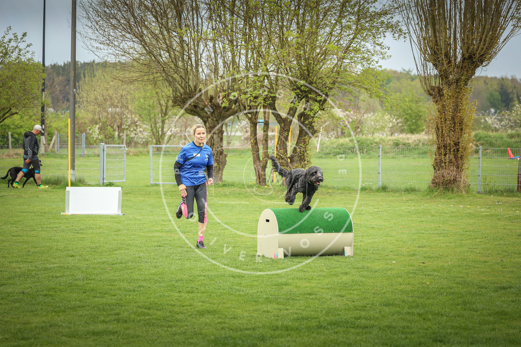 Pfotenfotografie_0L8A9590 | Hundefotografie, Tierfotograf, Pfotenfotografie, Fotoshooting Hund, Hunde Portrait, Hundesport, Hundeportraits, Heideshooting, Hunde, Sportfotograf, Hundefotograf, Turnierhundsport, THS,  - Realisiert mit Pictrs.com