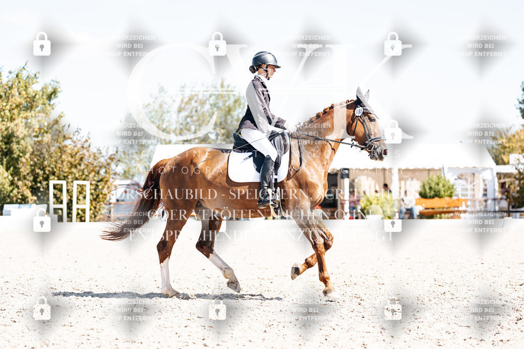 CK903935 | Turnierfotografie Pferdefotografie Trier Rheinland-Pfalz Pferdesport Reitsport Tierfotografie Sportfotografie Pferdevideo Pferdevideografie Equestrianvideography equestrianphotography  - Realisiert mit Pictrs.com