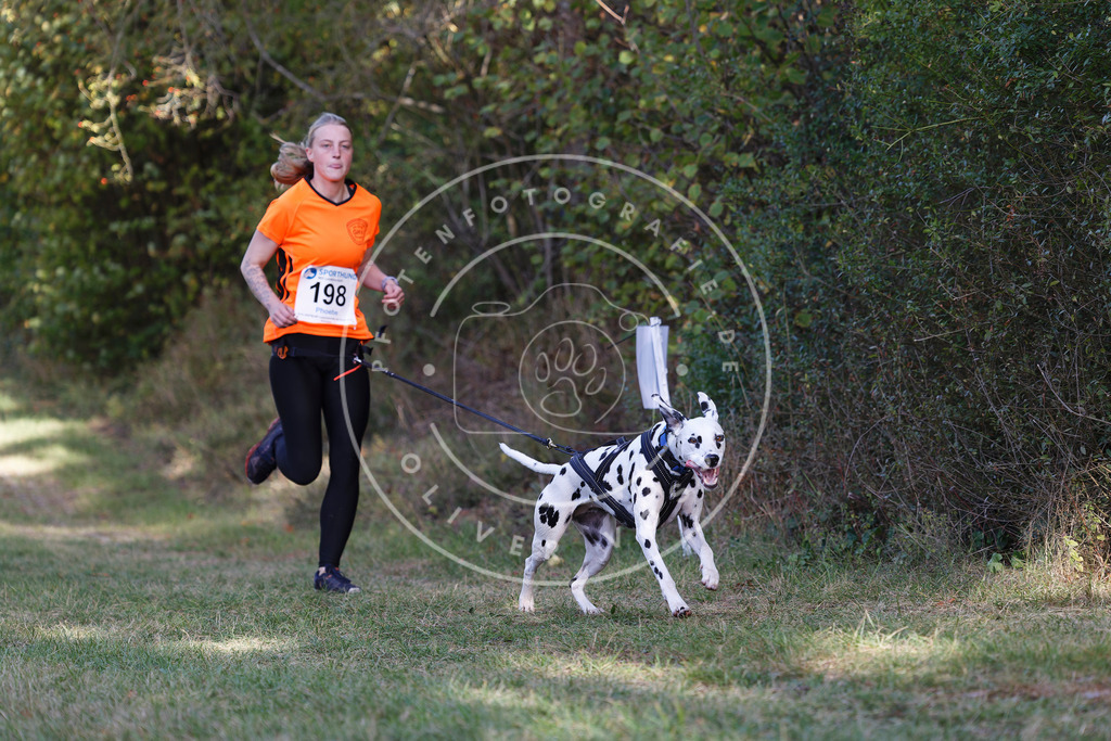0L8A5734 | Hundefotografie, Tierfotograf, Pfotenfotografie, Fotoshooting Hund, Hunde Portrait, Hundesport, Hundeportraits, Heideshooting, Hunde, Sportfotograf, Hundefotograf, Turnierhundsport, THS,  - Realisiert mit Pictrs.com