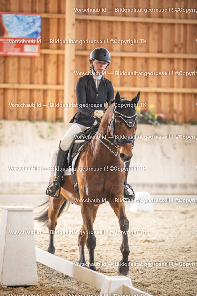 _D5A8867 | Emotionale Pferde- & People-Fotografie rund um Heidelberg, Leimen & Umgebung. Natürliche Fotos von Pferd, Mensch & Familie. Jetzt Termin sichern!