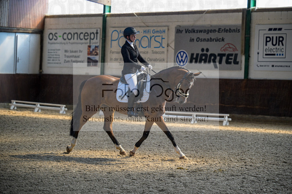 Reitturnier Voxtrup | Entdecke hochwertige Reitturnierfotos von Foto Oger. Professionell, emotional und authentisch – jetzt Lieblingsmomente im Shop bestellen.Deutschlandweite Turnierfotografie. - Realisiert mit Pictrs.com