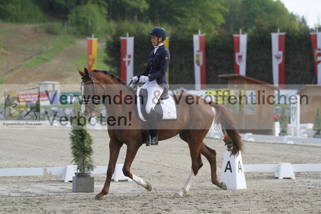_MG_5732 | equestrian-live-com