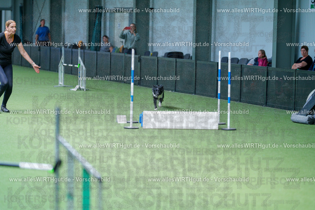 @allesWIRTHgut_Tierfotografie - www.allesWIRTHgut.de - 2604261237-7R501289 | Professionelle Tierfotografie in Mönchengladbach von Daniel Wirth (allesWIRTHgut). Liebevolle & natürliche Bilder von Hunden & Katzen für unvergessliche Erinnerungen.