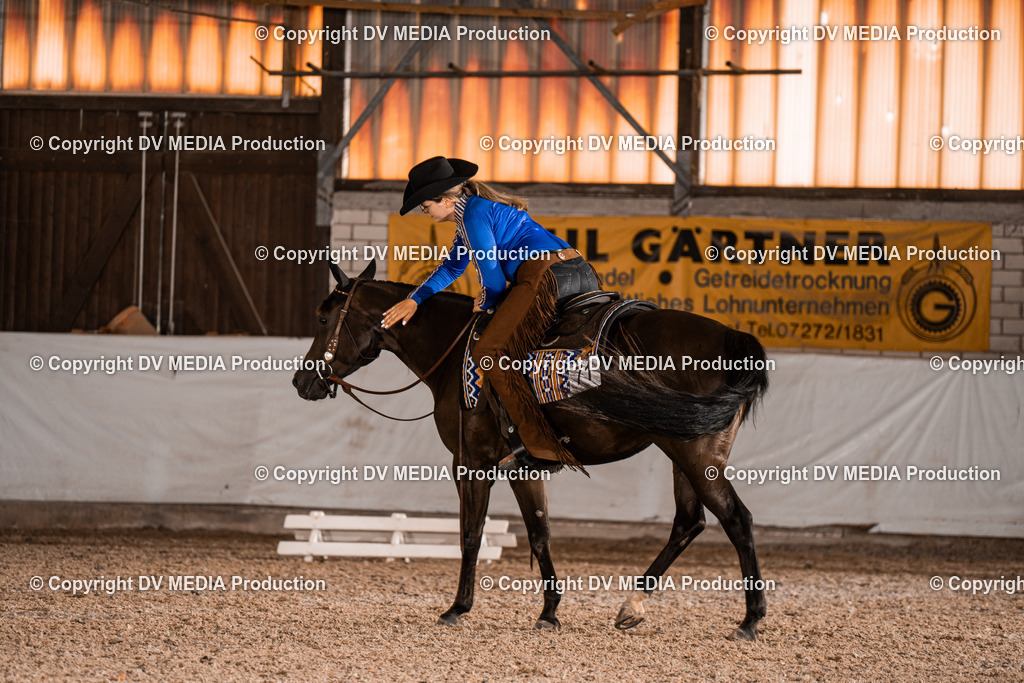 ZH100087 | dv-media-shop - Realisiert mit Pictrs.com