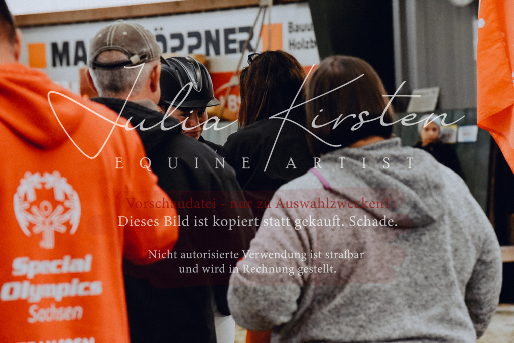 DSC_7060 | Pferde- und Turnierfotografie in Westsachsen. Pferdeportraits, Auftragszeichnungen und intuitive Kunst.