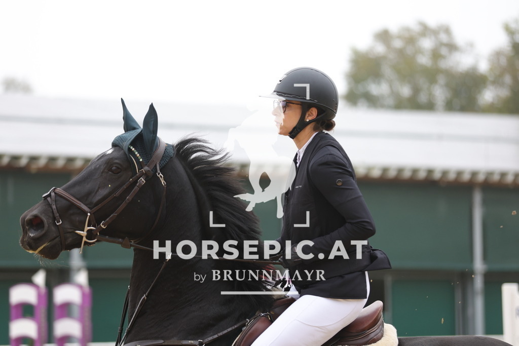 0P6A0851 | Willkommen bei Brunnmayr - Design & Fotografie – Ihrem Spezialisten für Reitturniere und Pferdeveranstaltungen in Oberösterreich, Salzburg und Bayern! Seit über 17 Jahren sind wir leidenschaftlich dabei.
