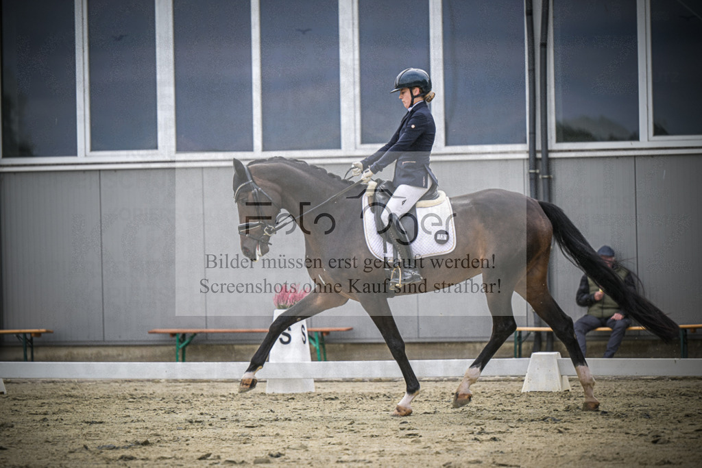 DOS_1404 | Entdecke hochwertige Reitturnierfotos von Foto Oger. Professionell, emotional und authentisch – jetzt Lieblingsmomente im Shop bestellen.Deutschlandweite Turnierfotografie. - Realisiert mit Pictrs.com