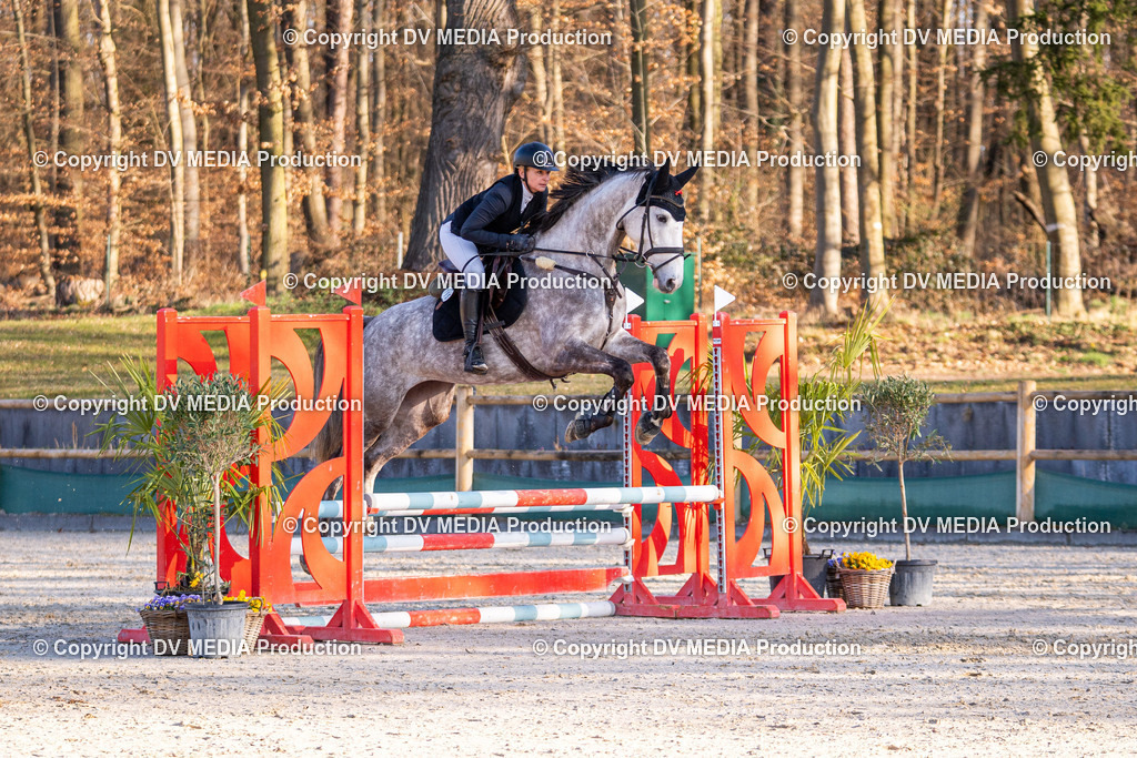 Kranichstein Tag 1-030 | dv-media-shop - Realisiert mit Pictrs.com