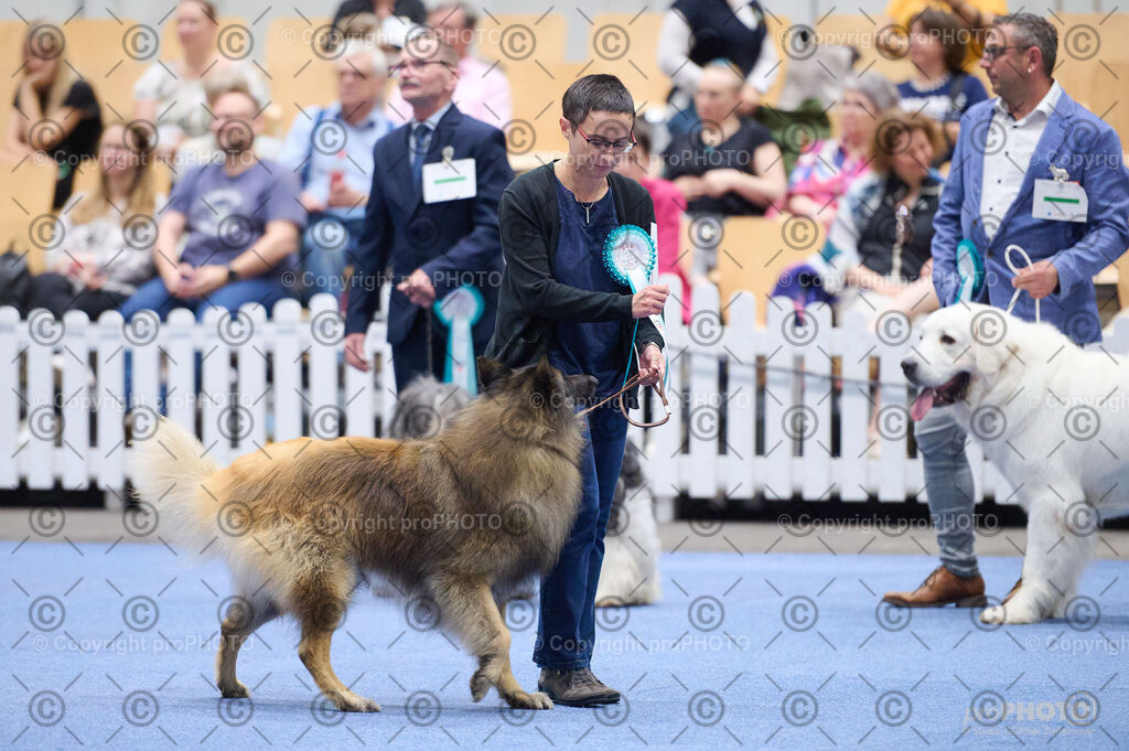 202406_ÖKV-IHA-Tulln24_DSC_2847 | proPHOTO - Realisiert mit Pictrs.com