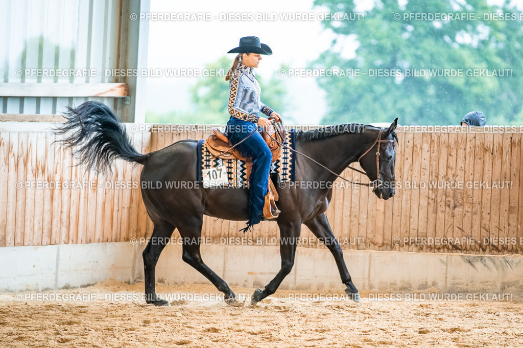 DSC00593 | Pferdegrafie