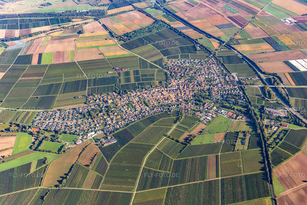 Ortschaft von Süden | Luftbild: Ortschaft von Süden in Insheim im Bundesland Rheinland-Pfalz in Deutschland. Foto: IMG_143519.jpg vom 29.09.2024 durch ©2025 Werner Riehm fly-foto.de/copyright - Realisiert mit Pictrs.com