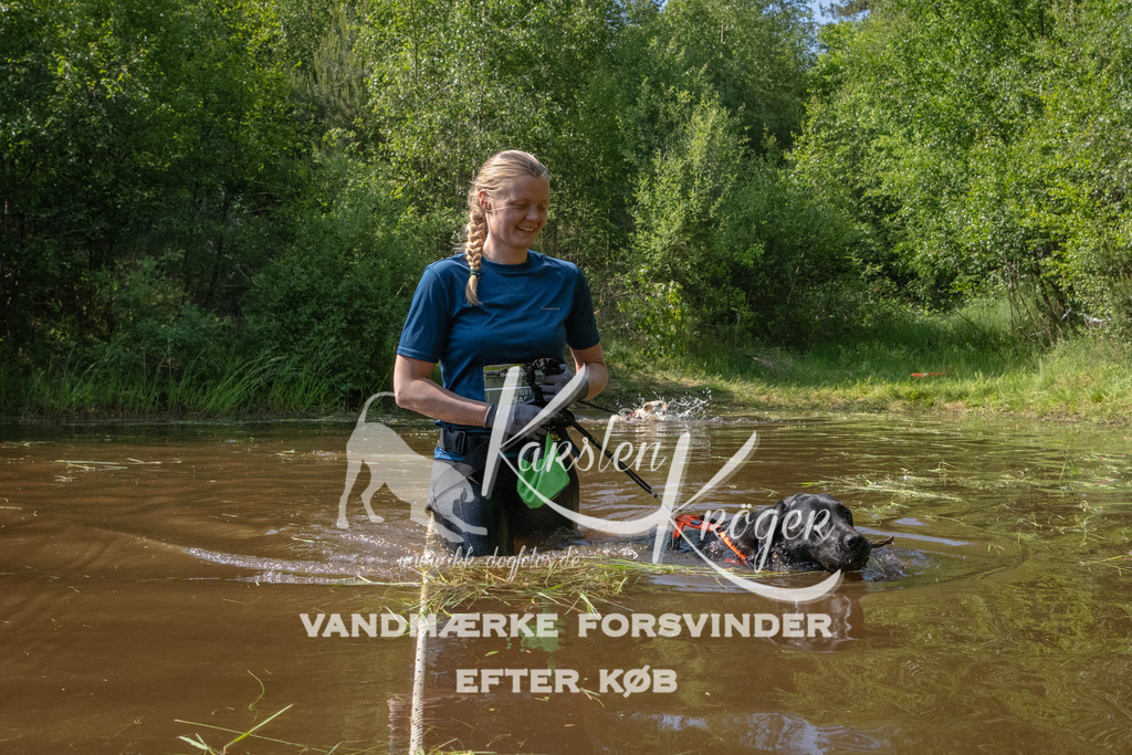 1617DKK993809 | kk-dogfotos