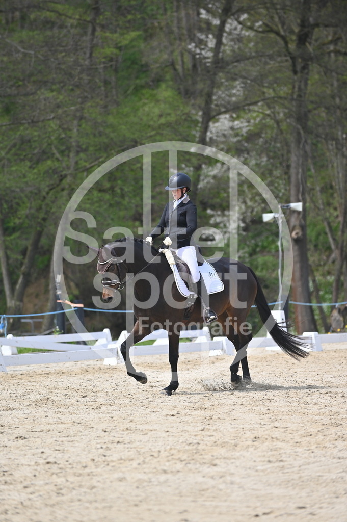 DSC_3108 | sattelsport - Realisiert mit Pictrs.com